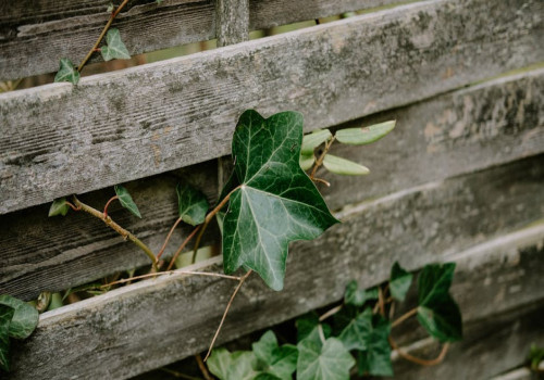 Kies montage of zelf plaatsen