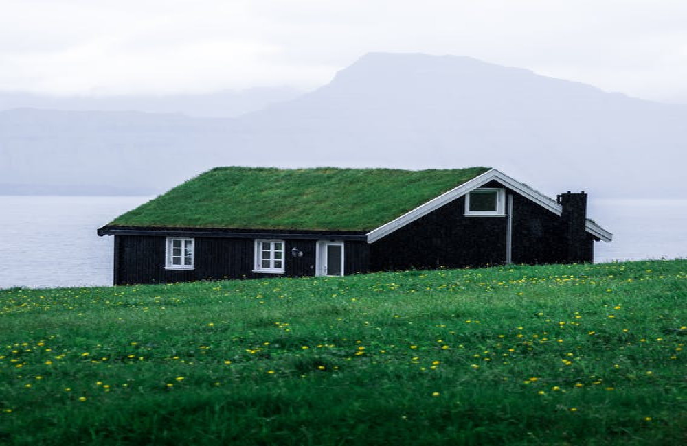 Groene daken