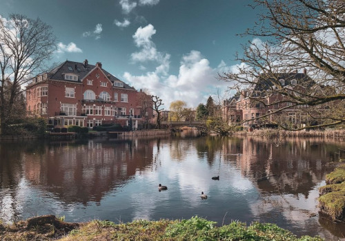 Praktische stappen voor een onderhoudsvriendelijke tuin in Apeldoorn