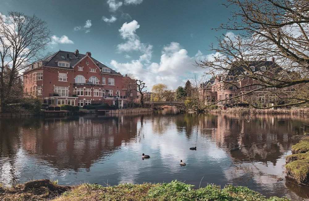 Praktische stappen voor een onderhoudsvriendelijke tuin in Apeldoorn