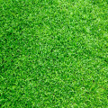 Hoe maak je een gezellige zithoek in de tuin met weinig ruimte?