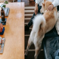 Welke kleur past bij een kleine woonkamer? Tips voor een ruimtelijk effect