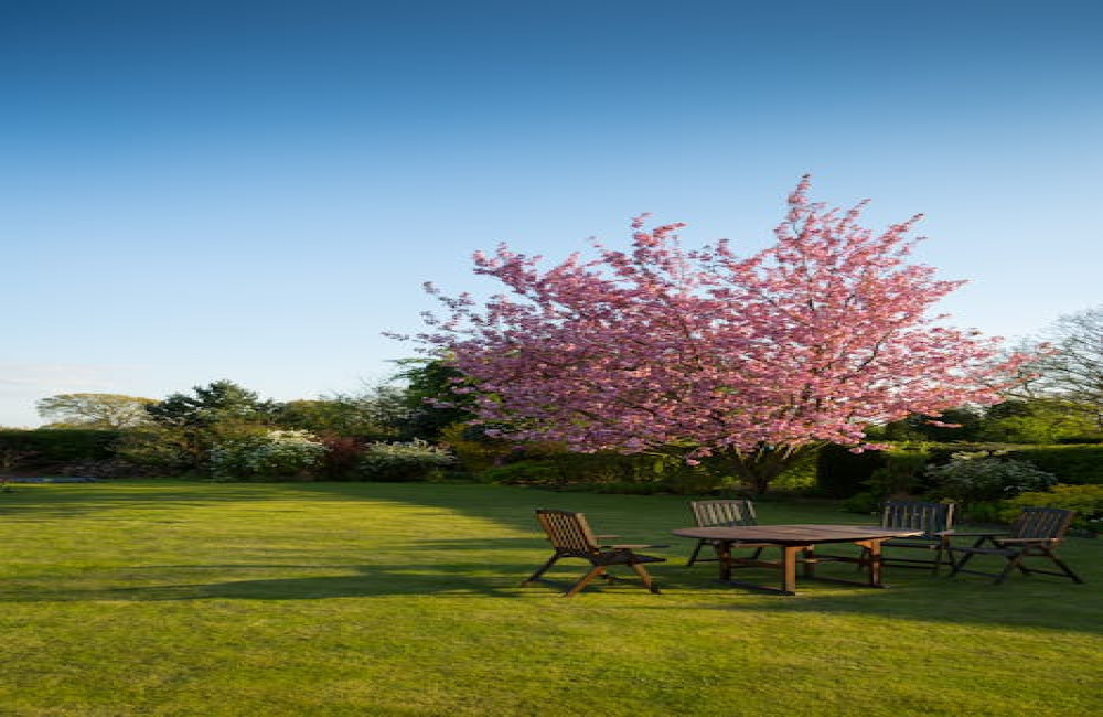 Slimme manieren om een kleine tuin praktisch in te richten