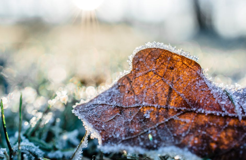 Genieten van je tuin in de winter met een warmtekussen
